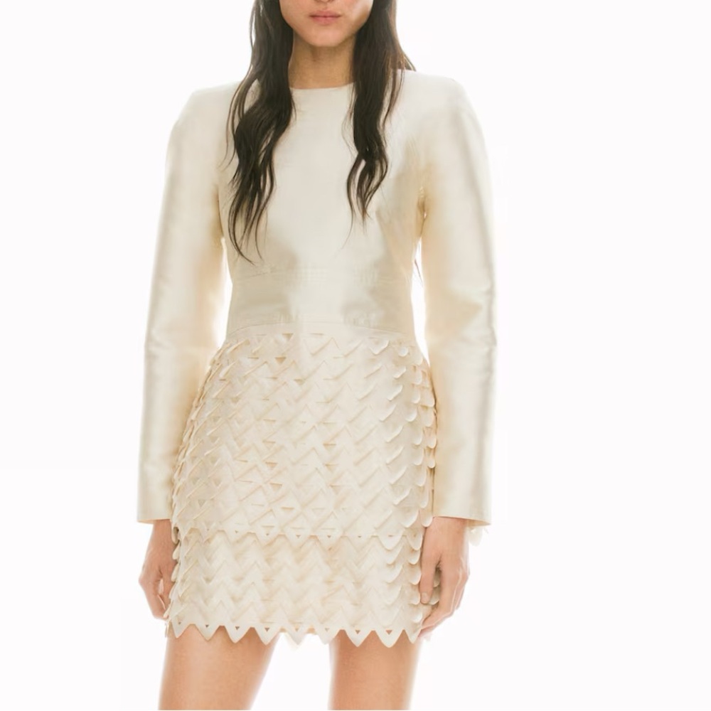 Hm Lorena Saravia perforated dress